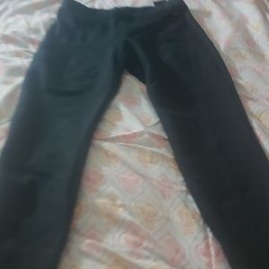 Fitted Pants by Tahari